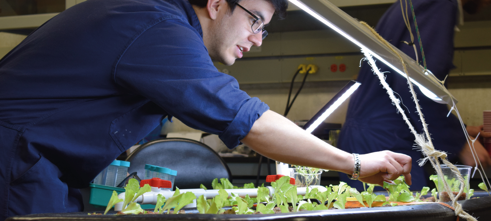 Estudiante trabajando en el proyecto de prado de agricultura inteligente | Uniandes