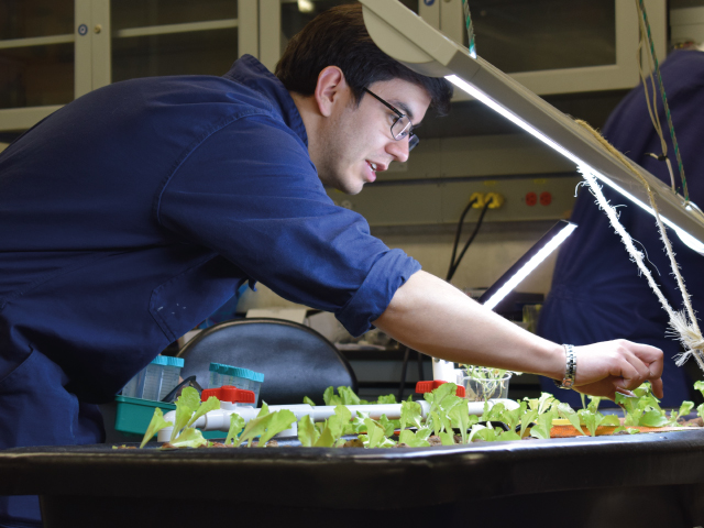 Estudiante trabajando en el proyecto de prado de agricultura inteligente | Uniandes