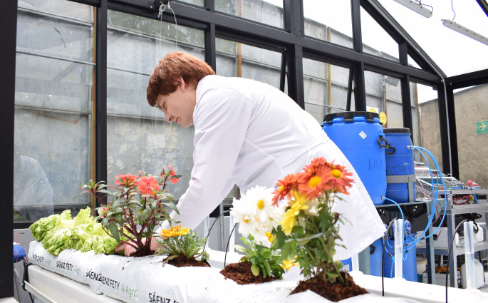 Este proyecto es un buen ejemplo de cómo la transformación digital es clave para la transición hacia sistemas de alimentación y agricultura más sostenibles y responsable