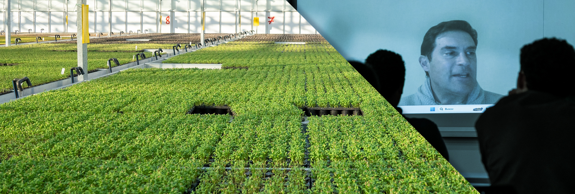 Juan Manuel Lombana, Ingeniería Mecánica, Uniandes