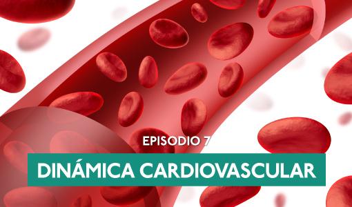 Dinámica Cardiovascular, Ingeniería Mecánica, Ingeniería Biomédica, Ciencia, Innovación, Uniandes, SeneCAST